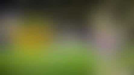 ¡POR LAS NUBES! AMÉRICA REVELÓ LOS PRECIOS PARA EL CLÁSICO NACIONAL