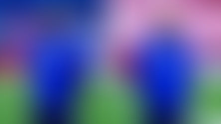 EN BRASIL REPORTAN QUE ANSELMI BUSCA "ROBARLE" FIGURAS A CRUZ AZUL