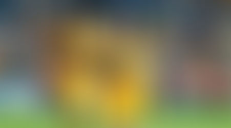 TIGRES BLINDA A DIEGO LAINEZ Y LE RENUEVA CONTRATO HASTA 2029
