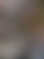 COLOSIO TENDRÁ CINCO CARRILES PARA AGILIZAR EL TRÁNSITO VEHÍCULAR