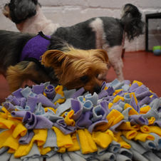 image16.jpeg