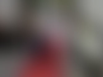 Último día en palacio