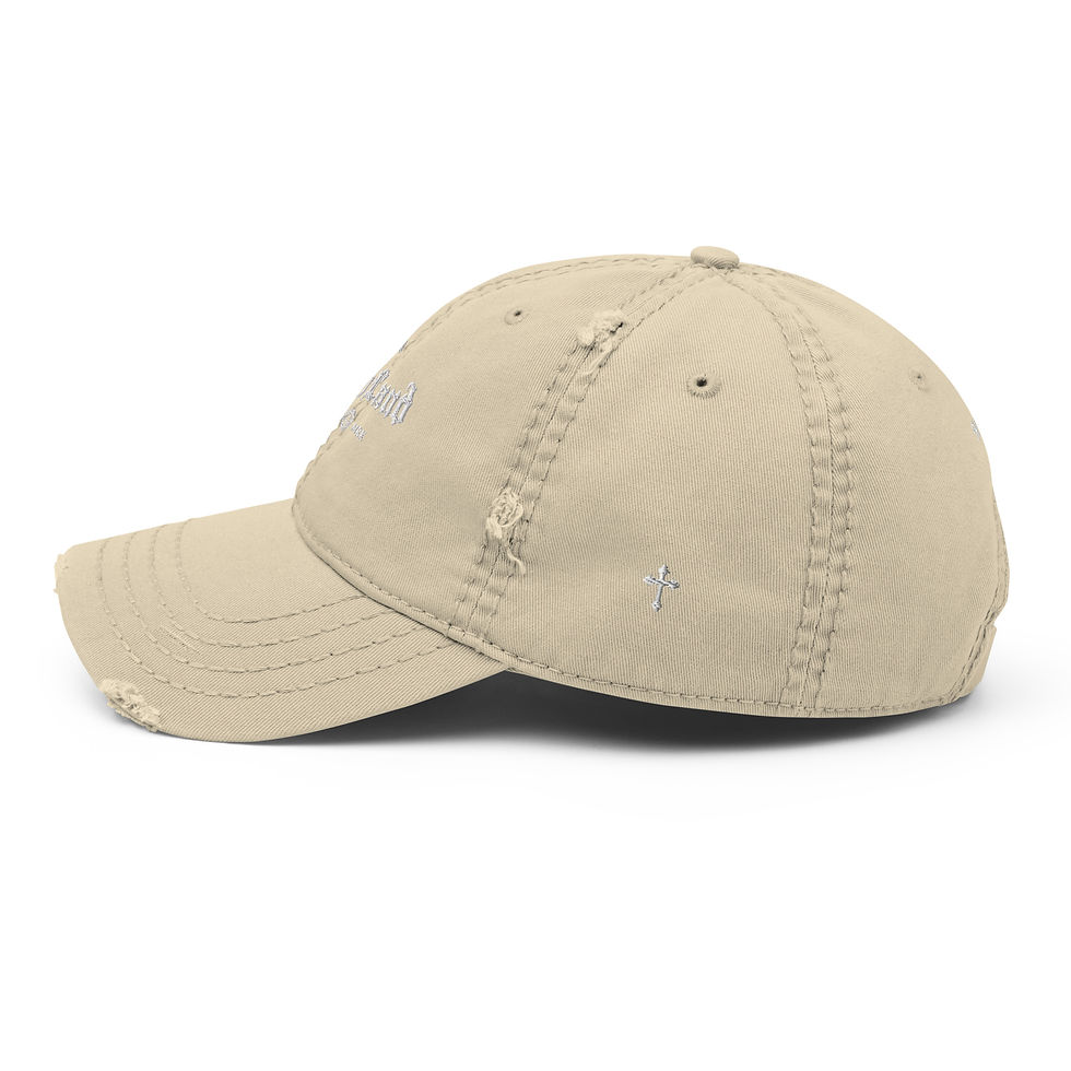 Thumbnail: Distressed Hat - MoneyLand TDR