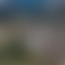 モリマナ12月！ 自然･生きもの推し！