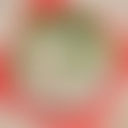 人日の節句は春の七草