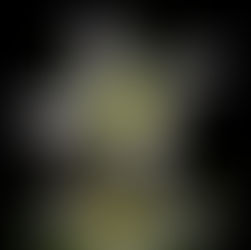 千回振りだしてもまだ苦いセンブリ