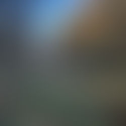 モリマナ11月！ 自然･生きもの推し！