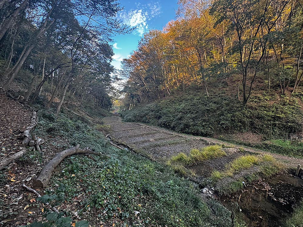 モリマナ11月! 自然・生きもの推し!