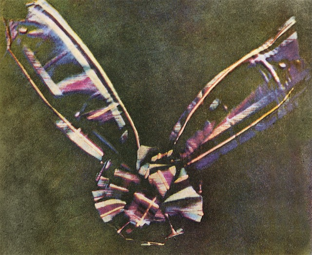 Worlds first colour photography