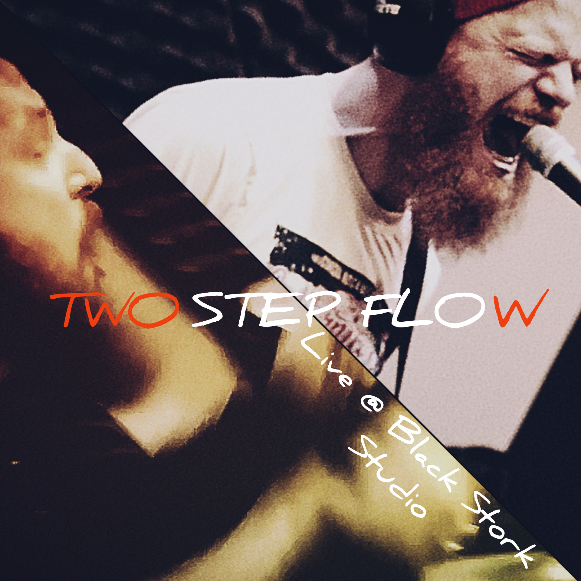 Two Step Flow - Black Stork