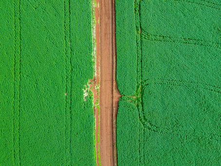 The Urgent Need for Feed Innovation