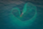 Fishing boat is netting fish on the sea