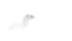 A Least Weasel in snow