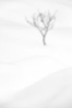 FotoNoja Nature Photo Contest