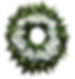 https://www.floreriaarte.com/