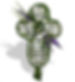 https://www.floreriaarte.com/