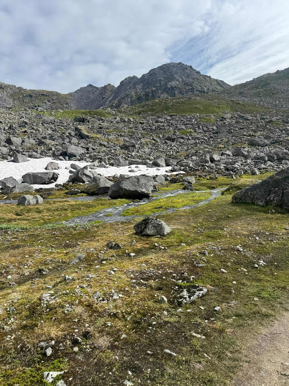 Rocky landscape with scattered boulders and patches of green moss under a cloudy sky. Snow is visible on the ground, with a mountainous backdrop.