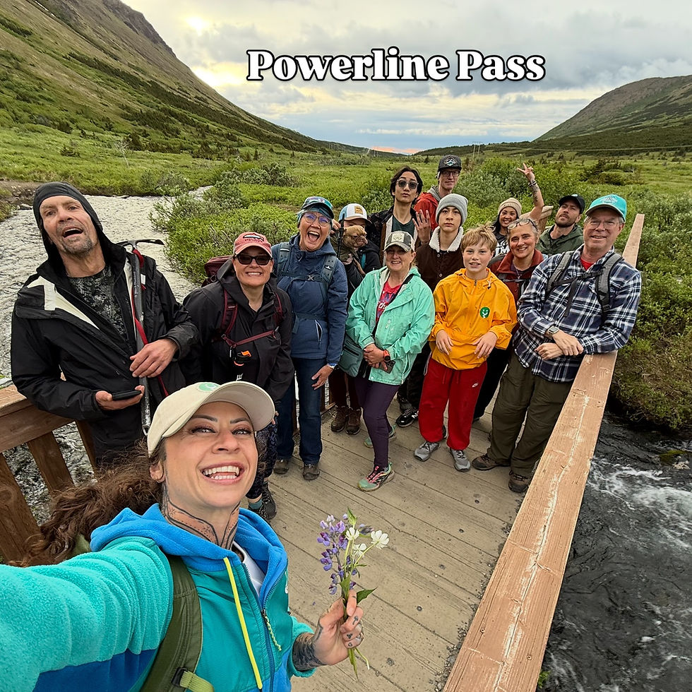 Group of smiling people on a wooden bridge at Powerline Pass, outdoors in green landscape. Foreground person holds purple flowers.