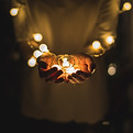 Lumières féériques