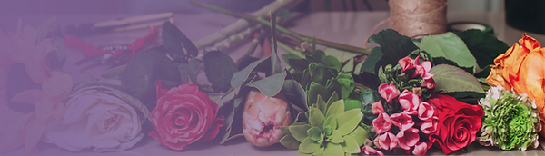 website header LFG (6).png