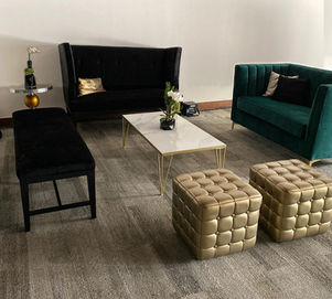 salas lounge  copy 2.JPG