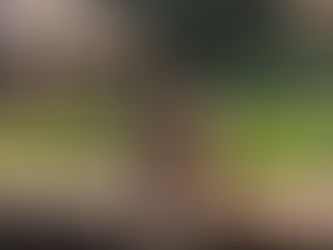 TESTEMUNHO: Sinais para o Nome Religioso, de Rita a Paula