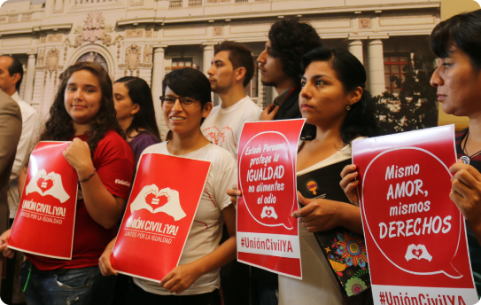 Activistas de la campaña Unión civil ya en el congreso