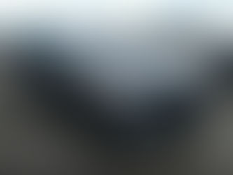 Внос на 2016 MERCEDES-BENZ S 550 от КАНАДА