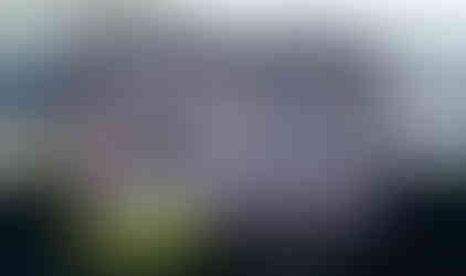 Внос на 2020 TESLA MODEL 3 STANDARD RANGE REAR-WHEEL DRIVE от САЩ