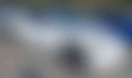 Внос на 2020 TESLA MODEL 3 STANDARD RANGE REAR-WHEEL DRIVE от САЩ