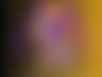 Unveiling Under the Rug: A Story of Truth, Healing, and Resilience