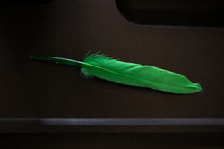 green feather