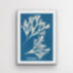 White box frame