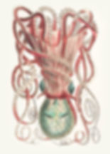 VINTAGE OCTOPUS 1