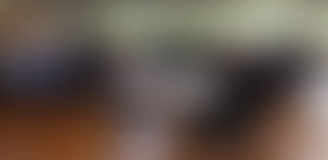 Community and Sustainability United: MSC’s New Partnership!