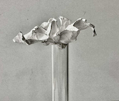 Title : Devotion : Sculpture printed matt paper 10cmx11cm.