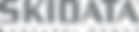 Skidata logo.png