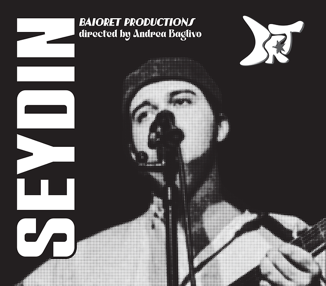 Seydin poster 3.png