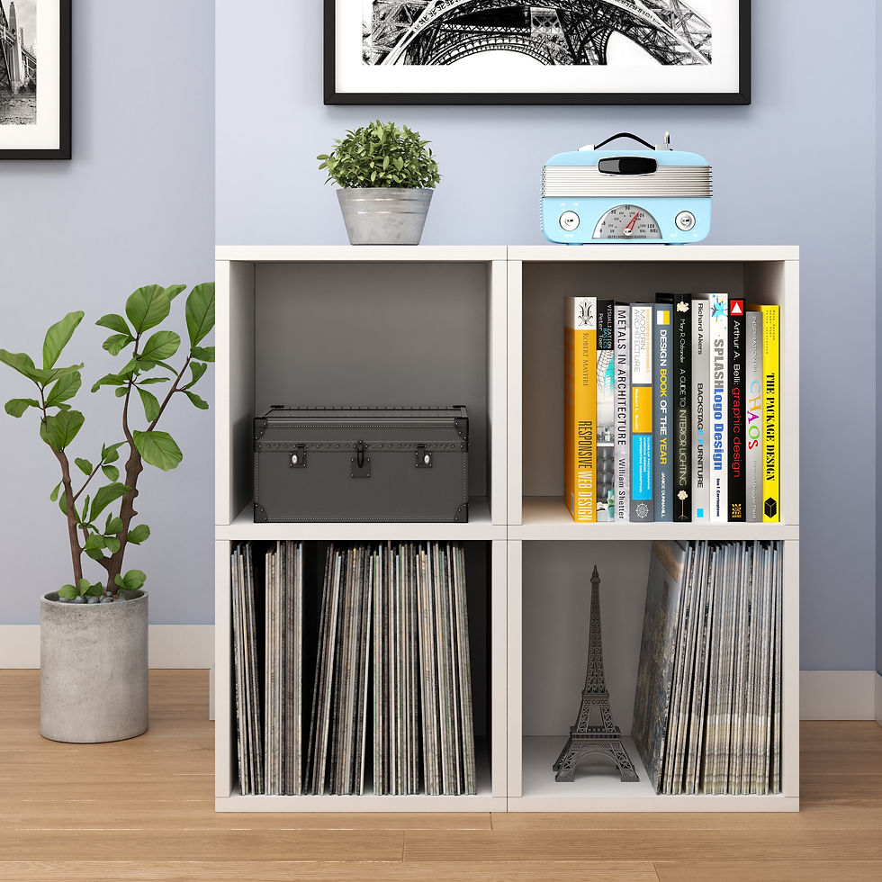 Blox Cube 2-Shelf_front_white