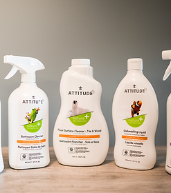 Attitude Cleaners.png