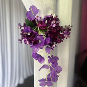 IMG_2624.JPG