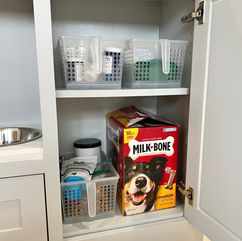 Photo Jan 25 2023, 3 31 18 PM.jpg