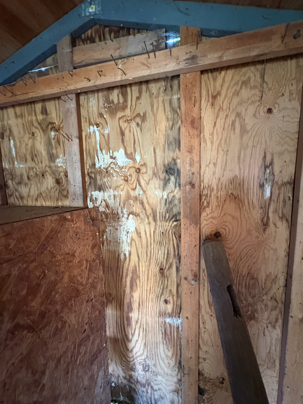 Rooted interior of outdoor shed with damaged wooden siding.