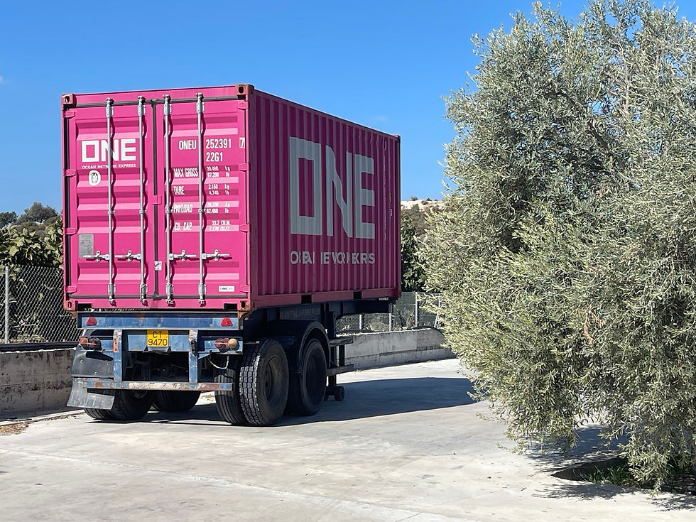 IMAGE 2025-12-29 20_31_05.jpg