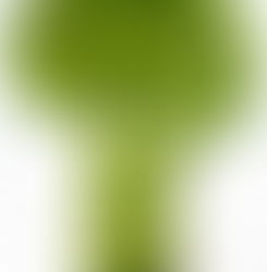 Jeu de piste souterrain à la grotte des Lauzières