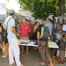 Foire aux associations 2014