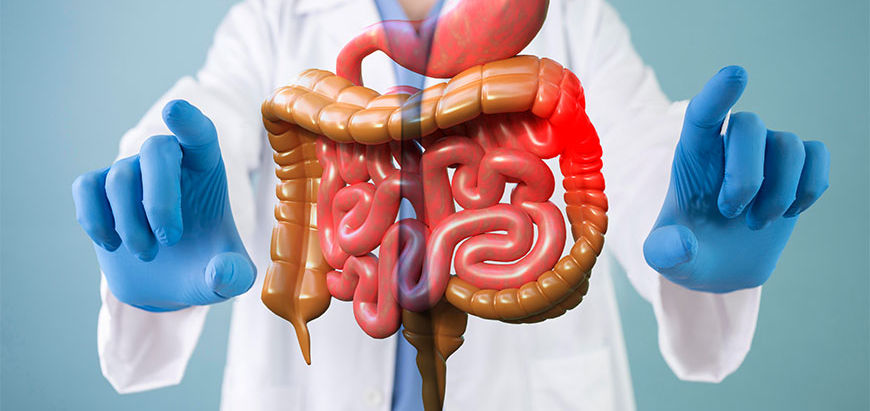 How Do I Study for Internal Medicine?
