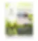 Flora Flor•Essence 7-Day Purification Programe