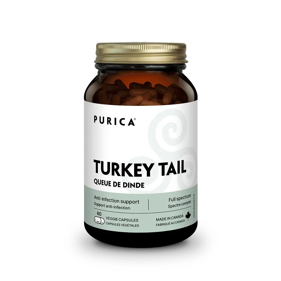 Purica Turkey Tail 60 Capsules