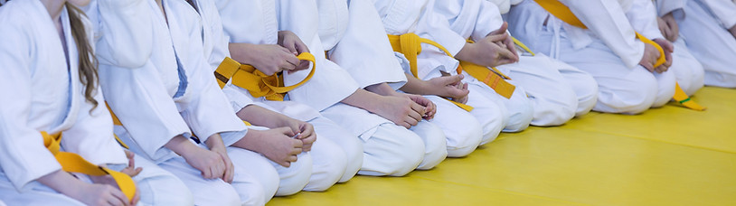 Estudiantes de artes marciales